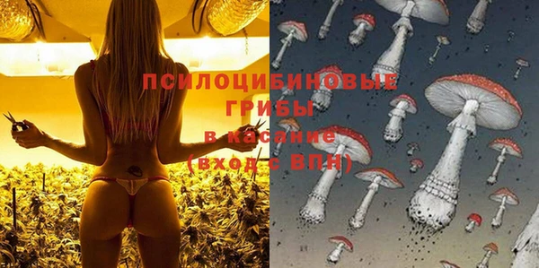 соль курить ск Алексин